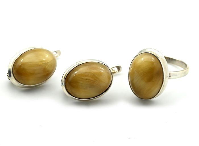 Tiger Eye Ring and Earrings 13*17mm, size 19, 10.8g